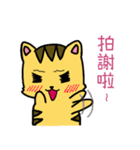 Squint Cat（個別スタンプ：8）