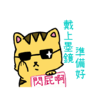 Squint Cat（個別スタンプ：9）