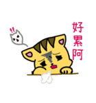 Squint Cat（個別スタンプ：10）