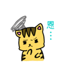 Squint Cat（個別スタンプ：11）