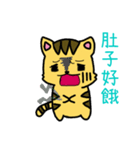 Squint Cat（個別スタンプ：17）