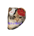 愛する ねこ もも（個別スタンプ：3）