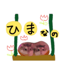 めろ日常使用（個別スタンプ：1）