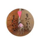 愛犬にこ（個別スタンプ：21）