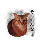 猫で行こう【3】（個別スタンプ：9）