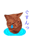 猫で行こう【3】（個別スタンプ：24）