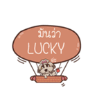 LUCKY love dog V.1 e（個別スタンプ：33）