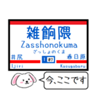 九州私鉄 天神大牟田線 大宰府線この駅だよ（個別スタンプ：7）