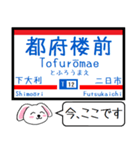 九州私鉄 天神大牟田線 大宰府線この駅だよ（個別スタンプ：11）