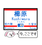 九州私鉄 天神大牟田線 大宰府線この駅だよ（個別スタンプ：25）