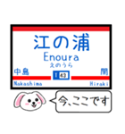 九州の私鉄 天神大牟田線 貝塚線この駅だよ（個別スタンプ：13）