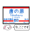 九州の私鉄 天神大牟田線 貝塚線この駅だよ（個別スタンプ：27）