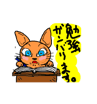 オレンジねこくん（個別スタンプ：17）