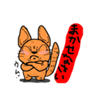 オレンジねこくん（個別スタンプ：24）