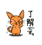 オレンジねこくん（個別スタンプ：26）