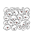 bichon frise dogs(fluffy dogs)韓国語（個別スタンプ：5）