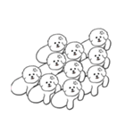 bichon frise dogs(fluffy dogs)韓国語（個別スタンプ：8）