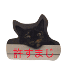 うちのねこ1（個別スタンプ：2）