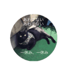 黒猫ラキの日常スタンプ其の1（個別スタンプ：5）