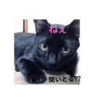 黒猫ラキの日常スタンプ其の1（個別スタンプ：14）