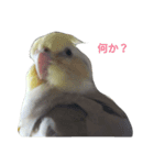 おかめちゃんの独り言（個別スタンプ：1）