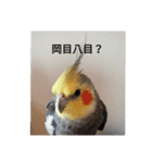 おかめちゃんの独り言（個別スタンプ：8）