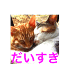 子猫すたんぷ（個別スタンプ：8）