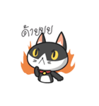 Very Angry Cat（個別スタンプ：1）
