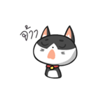 Very Angry Cat（個別スタンプ：2）
