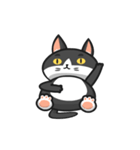 Very Angry Cat（個別スタンプ：4）