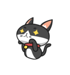 Very Angry Cat（個別スタンプ：6）