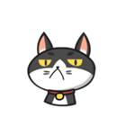 Very Angry Cat（個別スタンプ：7）