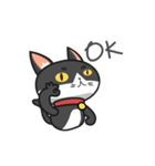Very Angry Cat（個別スタンプ：9）