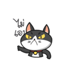 Very Angry Cat（個別スタンプ：10）