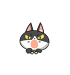 Very Angry Cat（個別スタンプ：11）