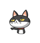 Very Angry Cat（個別スタンプ：14）