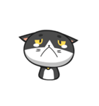 Very Angry Cat（個別スタンプ：15）