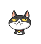 Very Angry Cat（個別スタンプ：18）