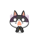 Very Angry Cat（個別スタンプ：20）