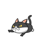 Very Angry Cat（個別スタンプ：21）