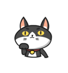Very Angry Cat（個別スタンプ：23）