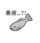 The strange fish's expression everyday（個別スタンプ：13）