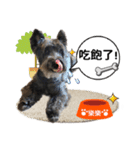 Lucky Dog -lele（個別スタンプ：11）