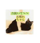 CAT OF BLACK"yamakko"（個別スタンプ：11）