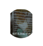 Gold Rat - Life（個別スタンプ：2）