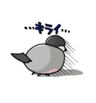 鳥トリオ（個別スタンプ：39）
