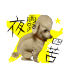 ホラー犬（個別スタンプ：7）