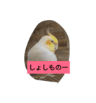 秋田弁フクロウ君（個別スタンプ：7）