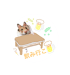 ハムスターの日常のスタンプ（個別スタンプ：4）