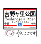 九州 長崎本線 今この駅だよ！タレミー（個別スタンプ：5）